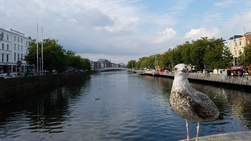 Dublin, Ireland | Adventures with Shelby