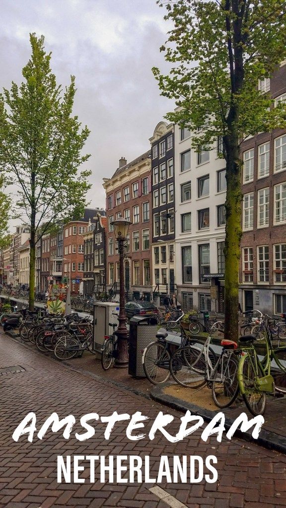 Amsterdam, Netherlands | Adventures with Shelby