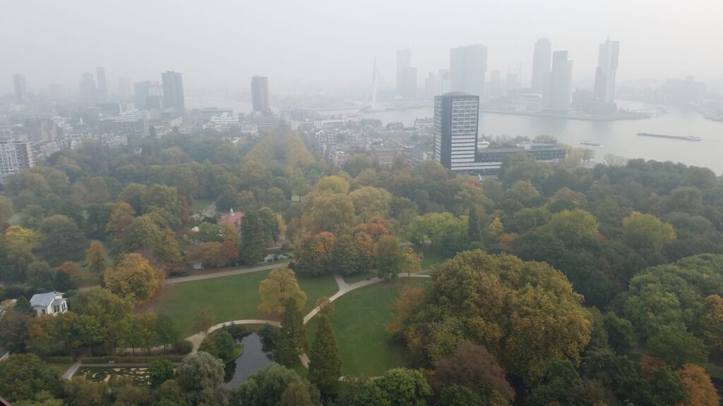 Rotterdam, Netherlands | Adventures with Shelby