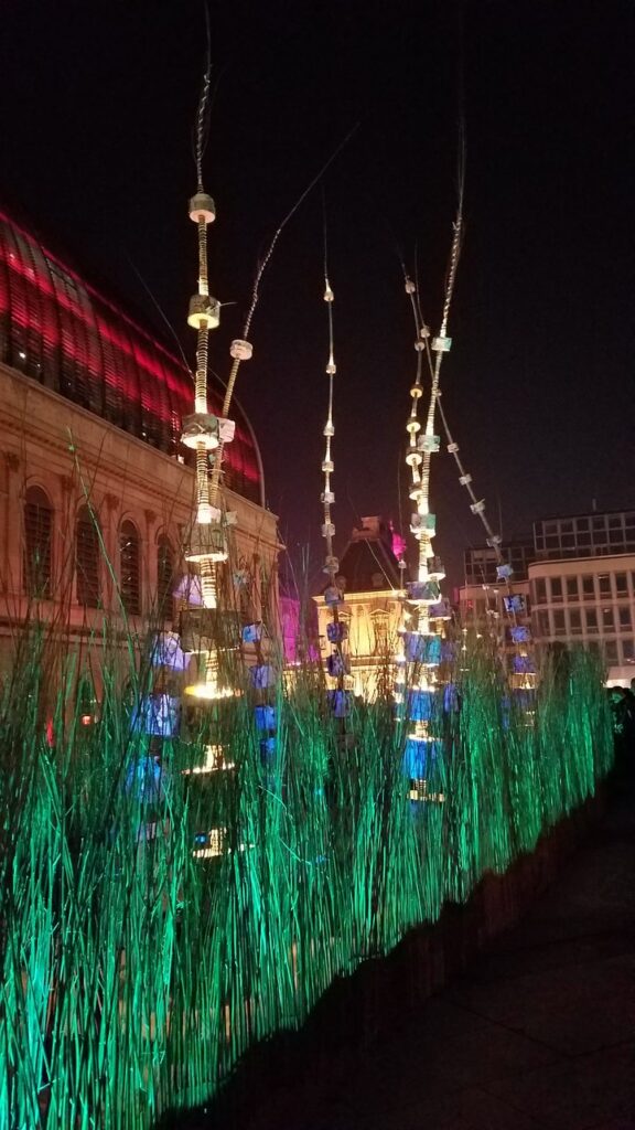 Fête des Lumières in Lyon, France | Adventures with Shelby
