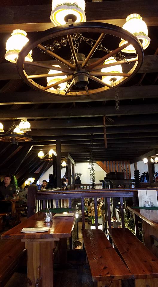 Vienna, Austria | Adventures with Shelby