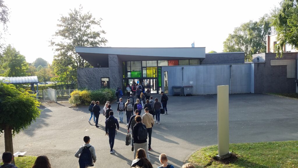 TAPIF Pros and Cons | Adventures with Shelby