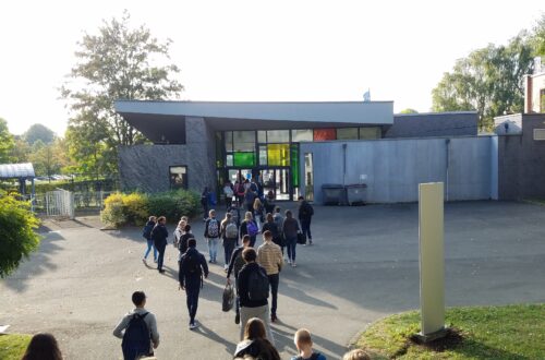 TAPIF Pros and Cons | Adventures with Shelby