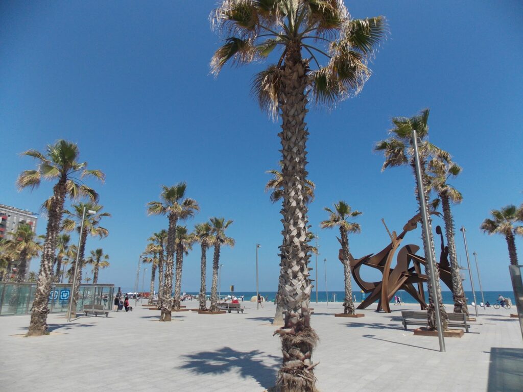 Barcelona, Spain | Adventures with Shelby