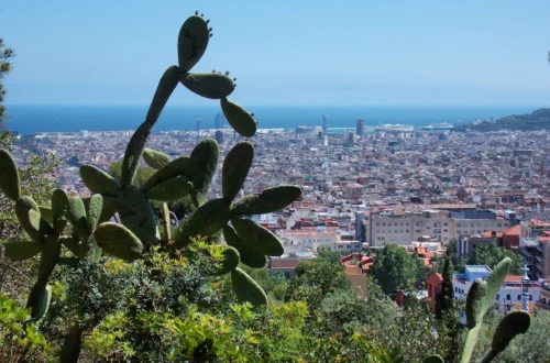 Barcelona, Spain | Adventures with Shelby