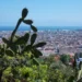 Barcelona, Spain | Adventures with Shelby