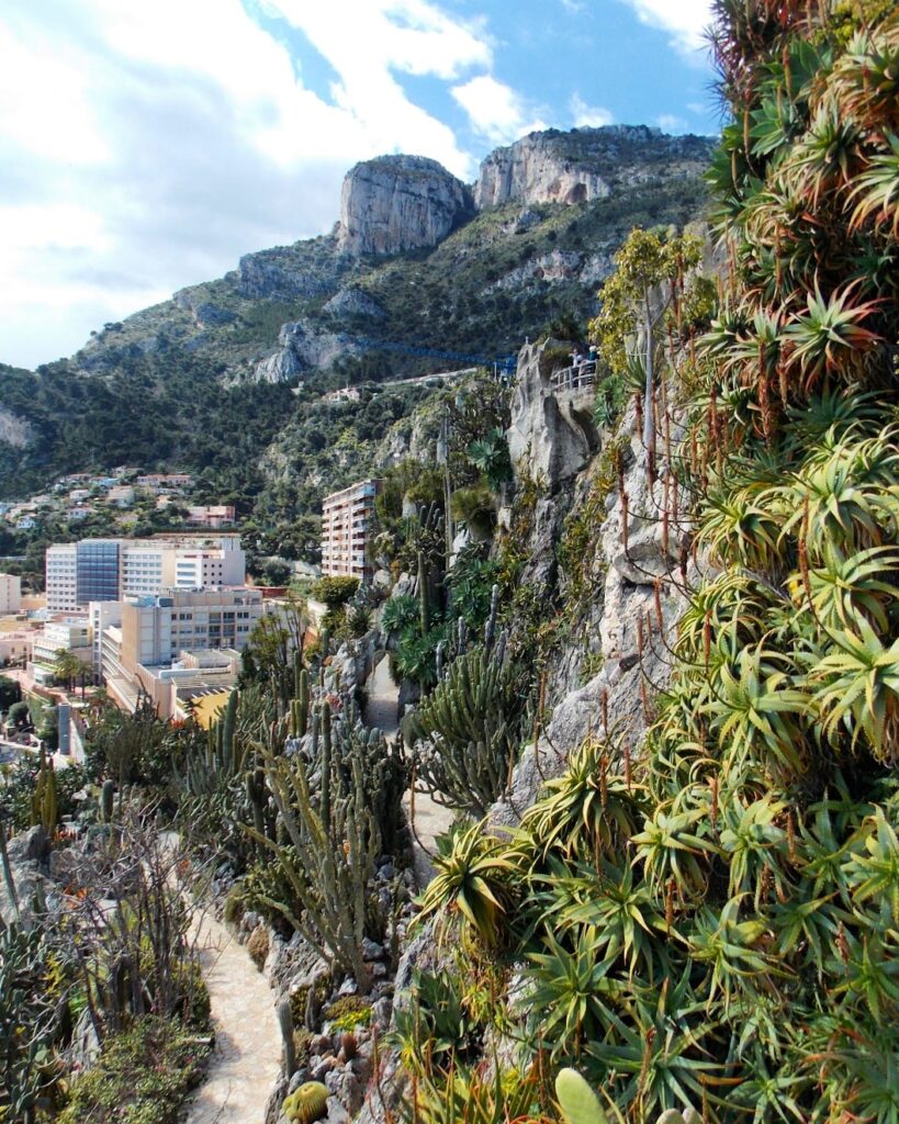 Top Two Can't-Miss Sites in Monaco | Adventures with Shelby