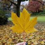 Paris, France in the Fall | Adventures with Shelby