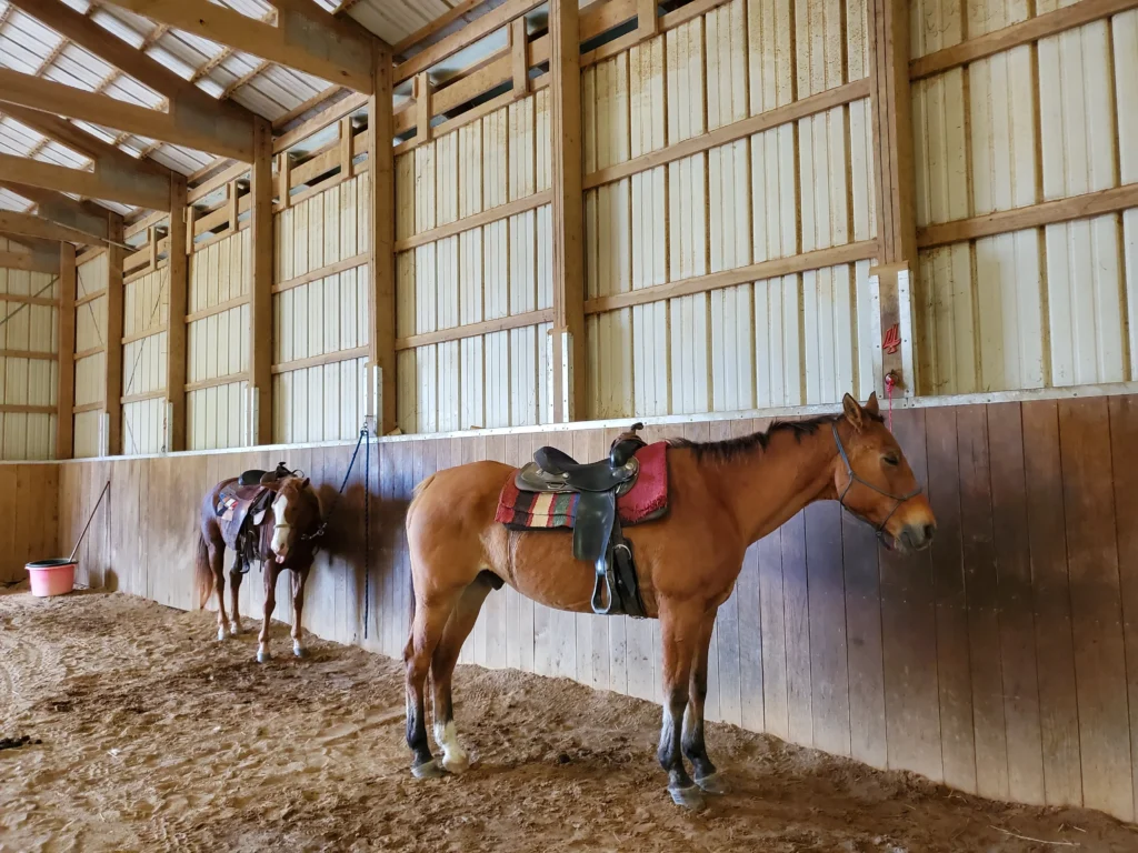 Virginia Horseback Trail Ride | Adventures with Shelby
