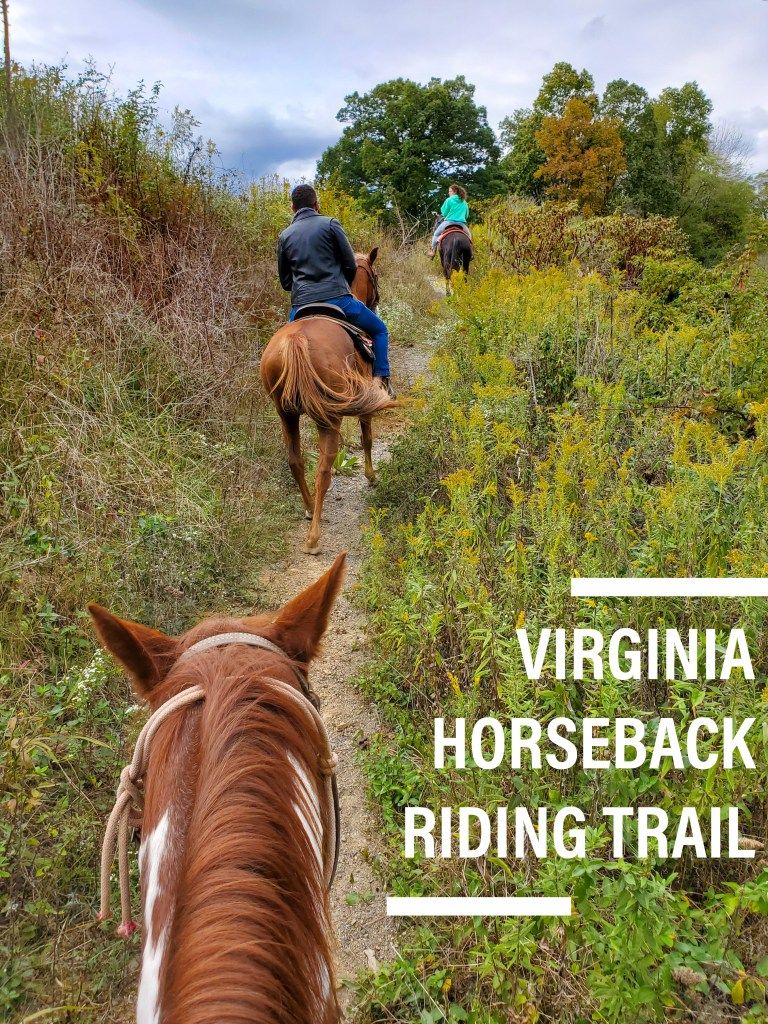 Virginia Horseback Trail Ride | Adventures with Shelby