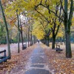 Paris, France in the Fall | Adventures with Shelby