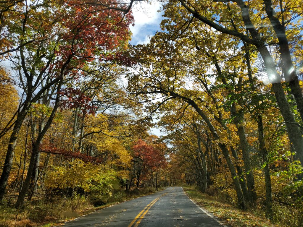 Skyline Drive in the Fall | Adventures with Shelby
