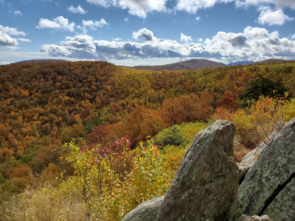 Skyline Drive in the Fall | Adventures with Shelby
