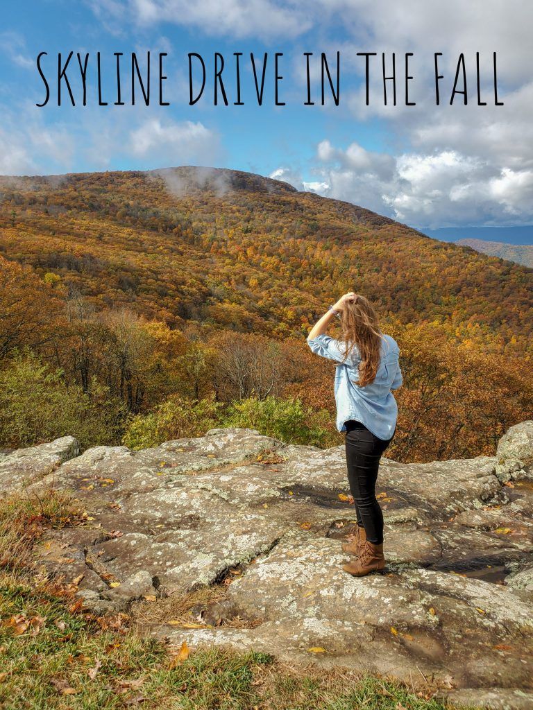 Skyline Drive in the Fall | Adventures with Shelby