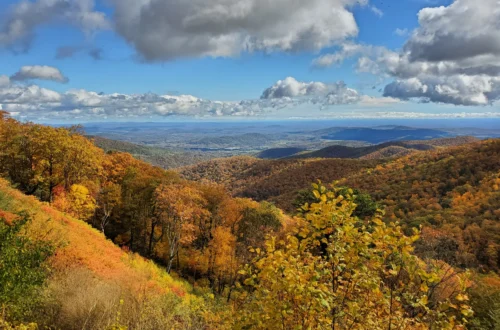 Skyline Drive in the Fall | Adventures with Shelby