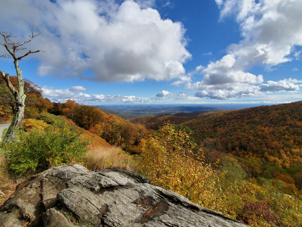 Skyline Drive in the Fall | Adventures with Shelby