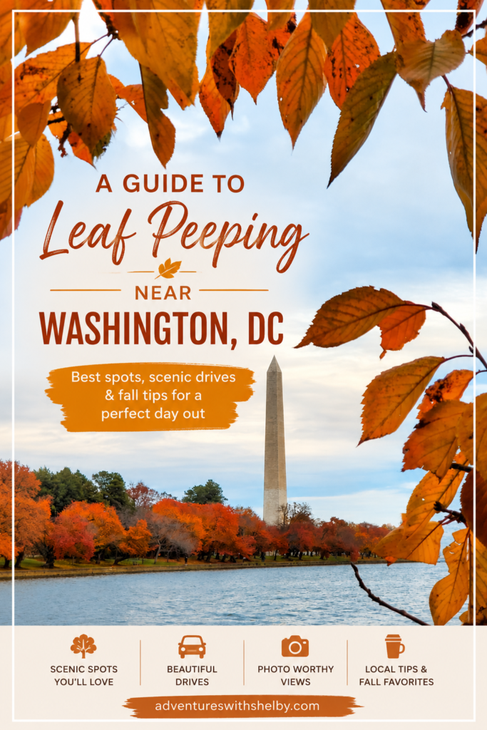 A Guide to Leaf Peeping Near Washington, DC | Adventures with Shelby