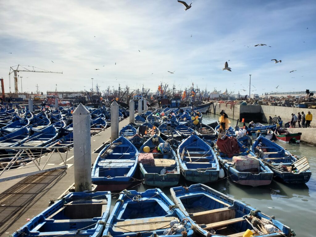 Essaouira, Morocco | Adventures with Shelby