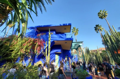 Garden Majorelle in Marrakech, Morocco | Adventures with Shelby