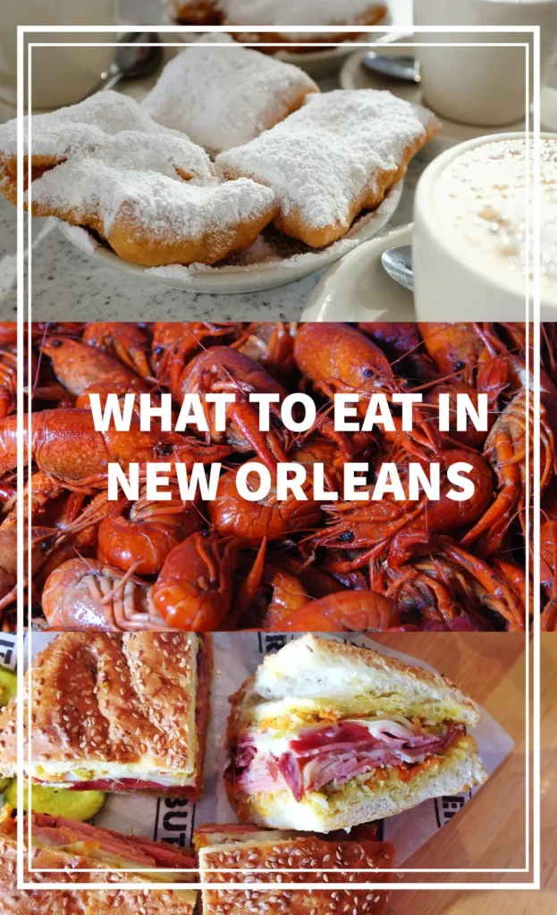 What to Eat in New Orleans, LA | Adventures with Shelby