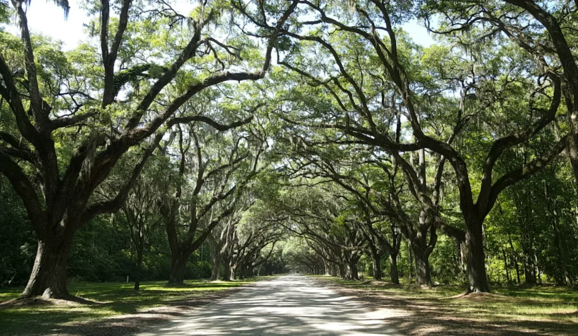 Savannah, Georgia | Adventures with Shelby