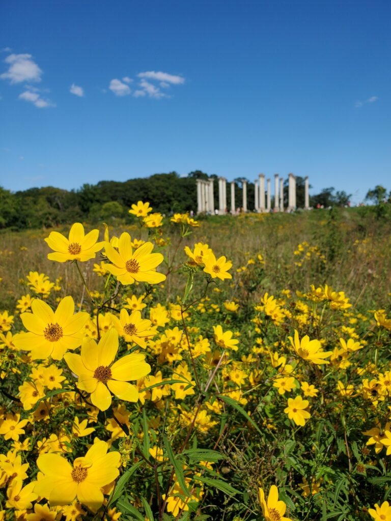 National Arboretum