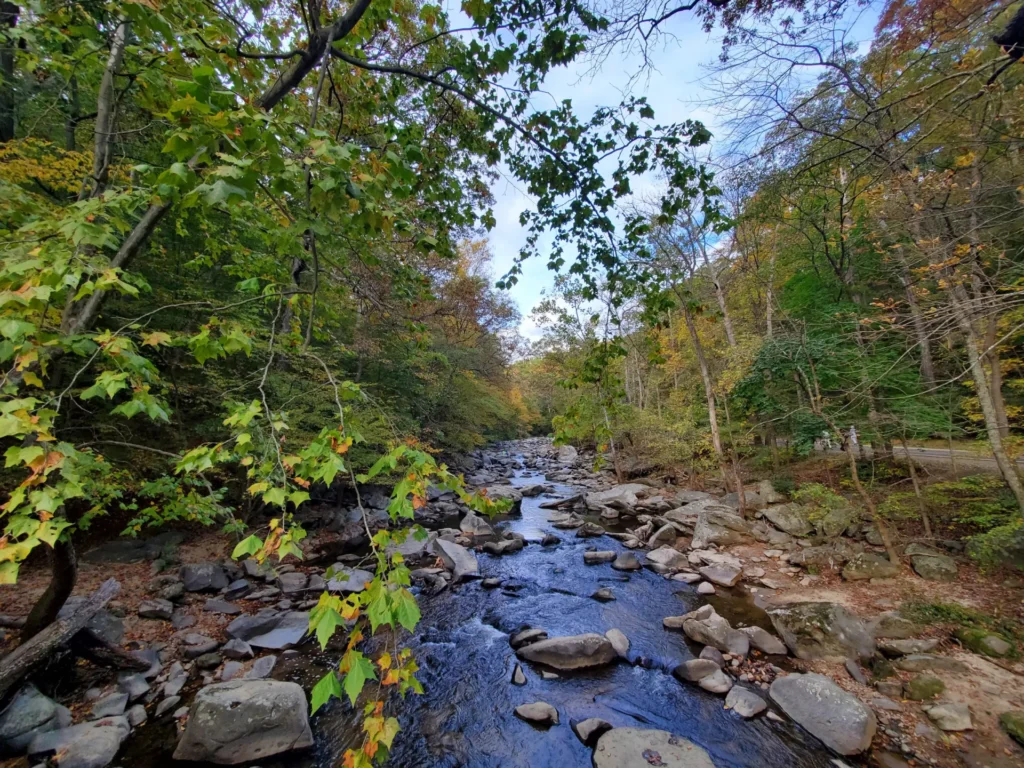 Rock Creek Park