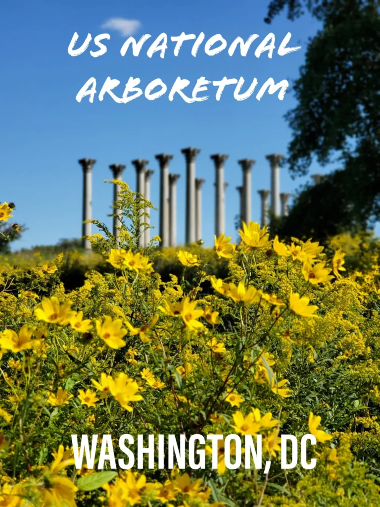 US National Arboretum | Adventures with Shelby
