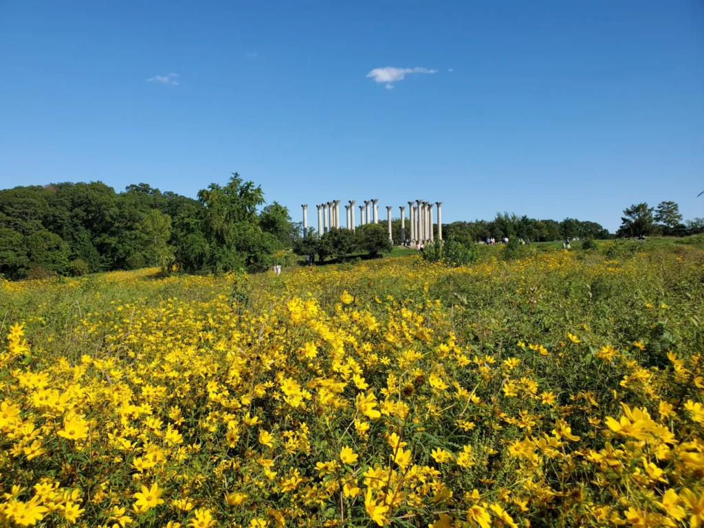 Leaf Peeping near Washington, DC | Adventures with Shelby