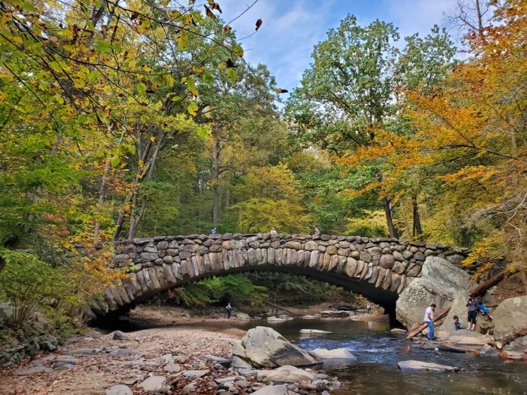 Leaf Peeping near Washington, DC | Adventures with Shelby