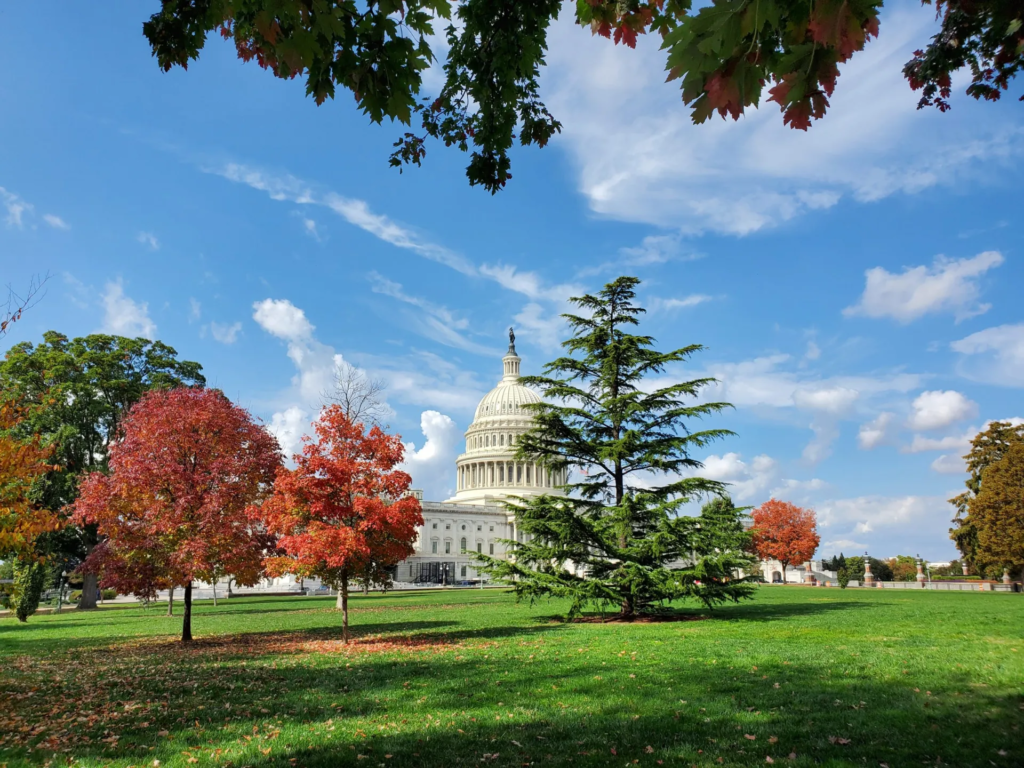 Leaf Peeping near Washington, DC | Adventures with Shelby