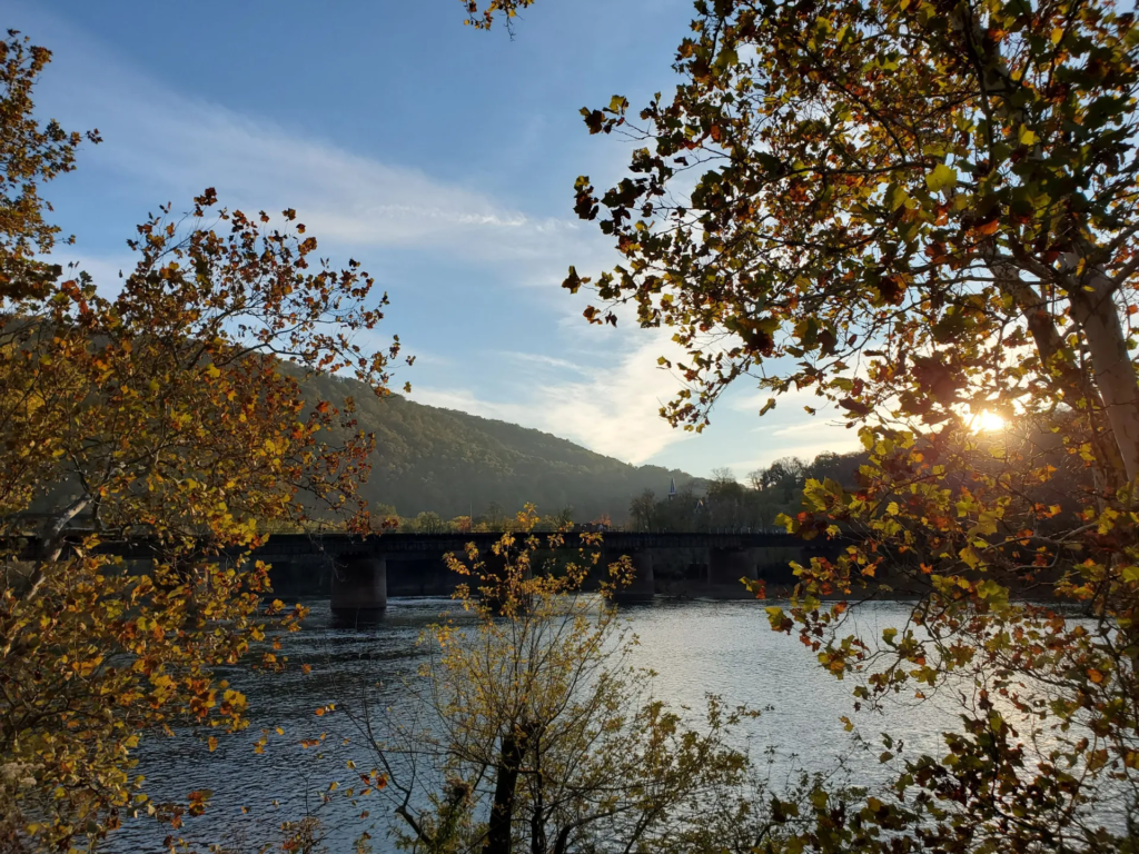 Leaf Peeping near Washington, DC | Adventures with Shelby