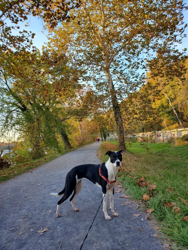 Harpers Ferry, WV | Adventures with Shelby