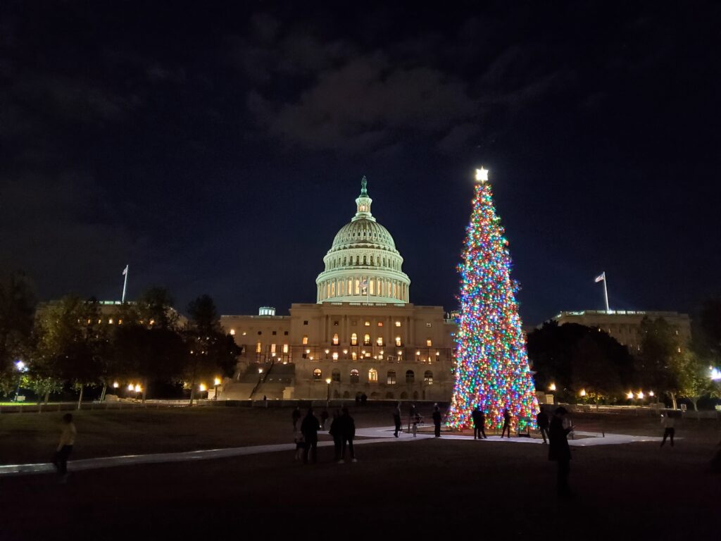 Capitol Christmas Tree