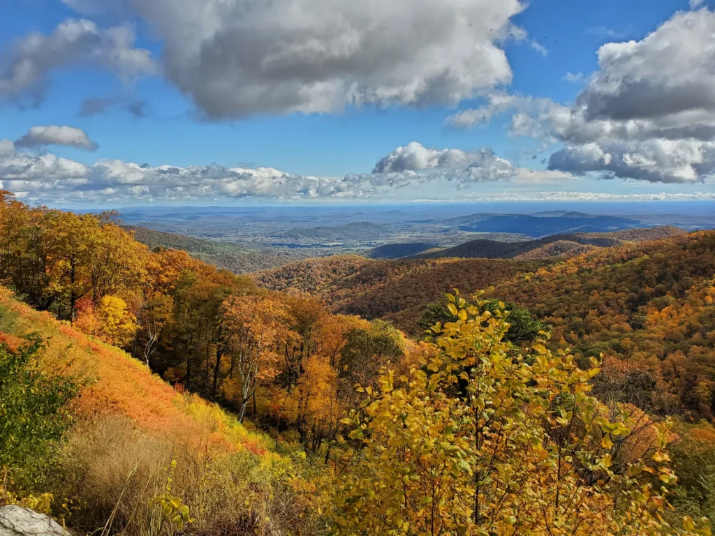 Leaf Peeping near Washington, DC | Adventures with Shelby