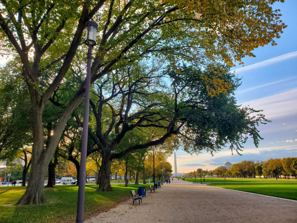 Leaf Peeping near Washington, DC | Adventures with Shelby
