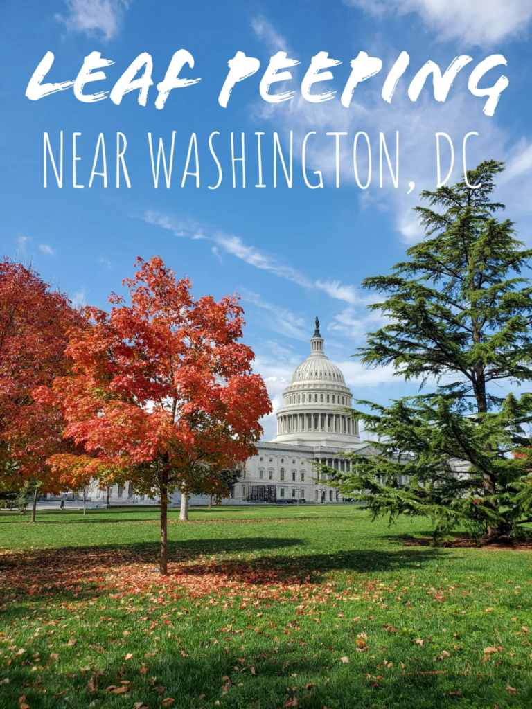 Leaf Peeping near Washington, DC | Adventures with Shelby