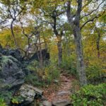 Bearfence Mountain Trail