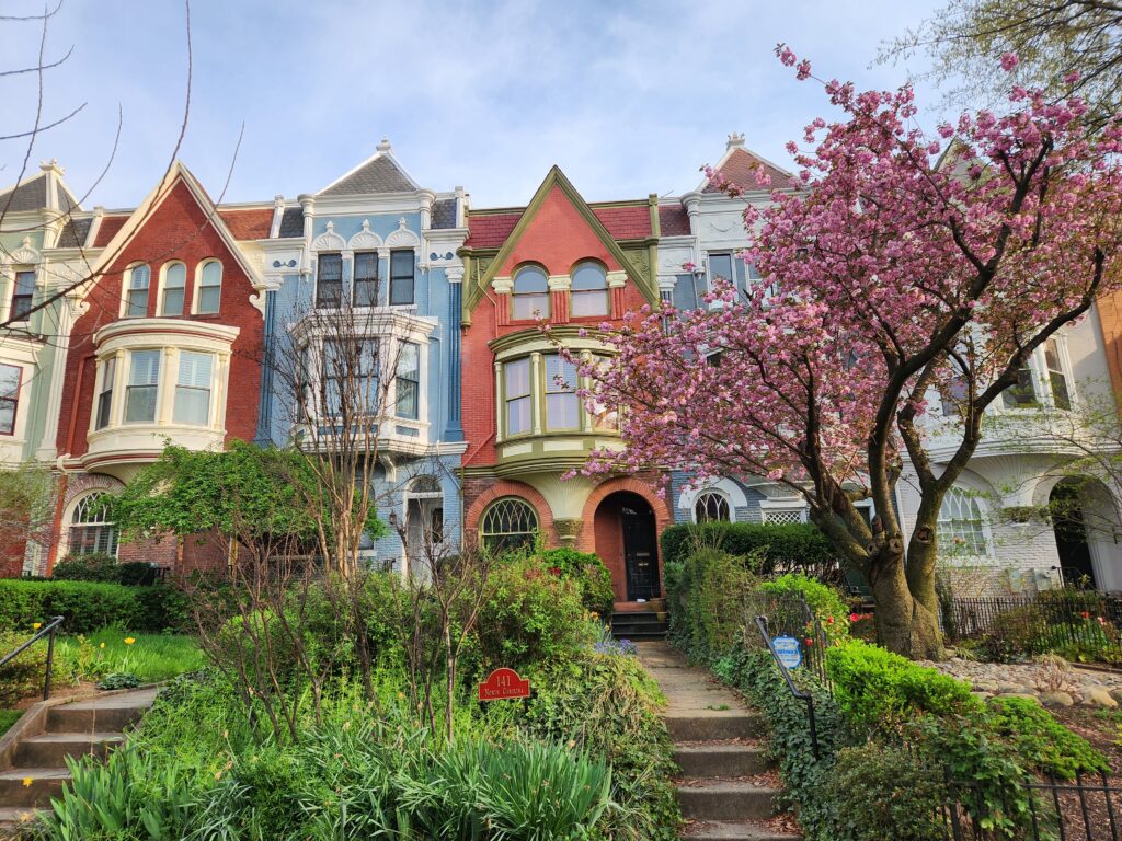 Spring in Washington, DC | Adventures with Shelby