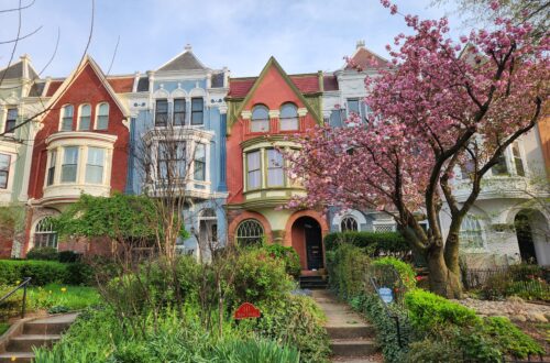 Spring in Washington, DC | Adventures with Shelby