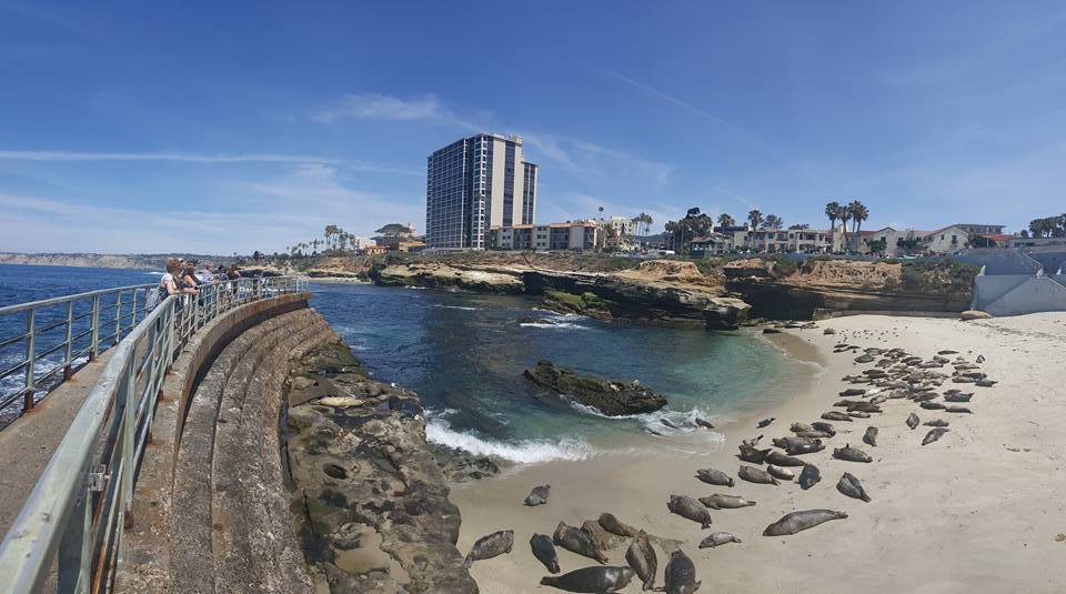 San Diego, California | Adventures with Shelby