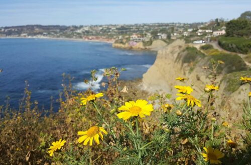 San Diego, California | Adventures with Shelby