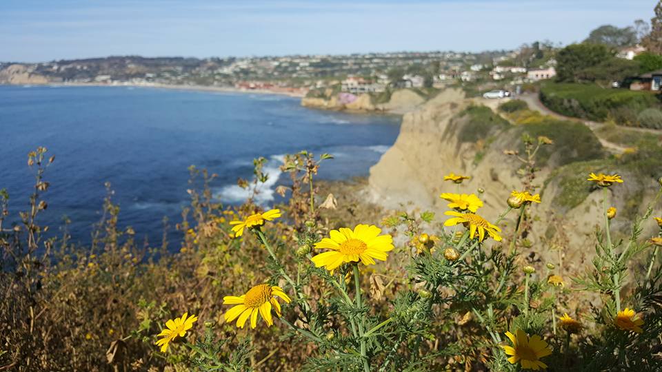 San Diego, California | Adventures with Shelby