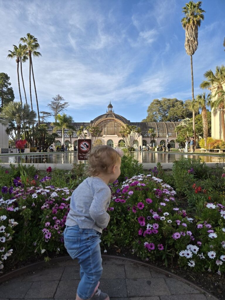 Traveling with a Toddler: Tips for Stress-Free Trips