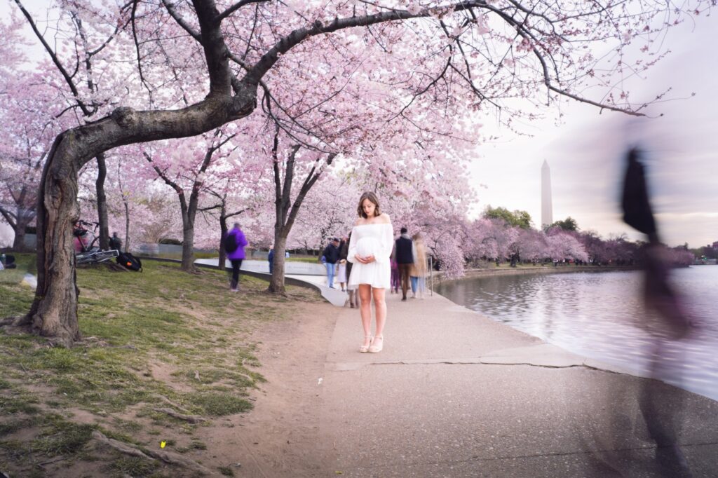 Cherry Blossoms in Washington, DC | Adventures with Shelby