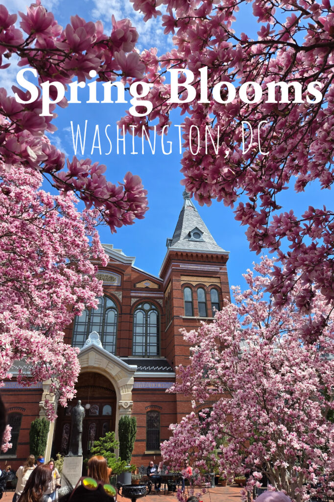Spring in Washington, DC | Adventures with Shelby