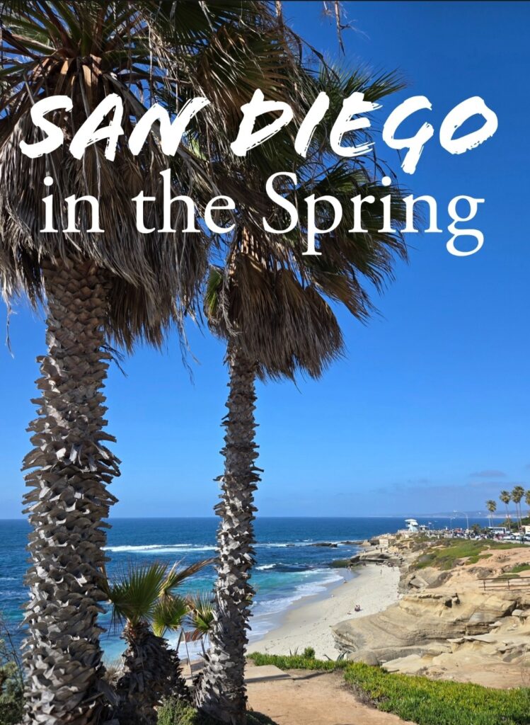San Diego, California | Adventures with Shelby