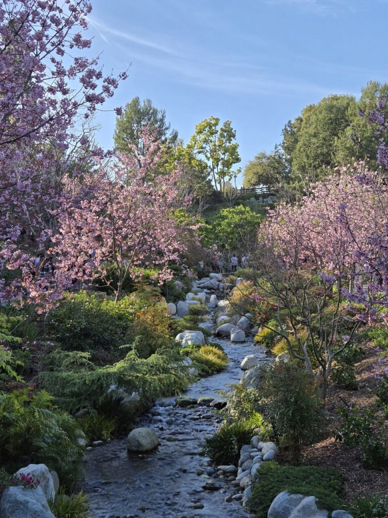 San Diego, California | Adventures with Shelby