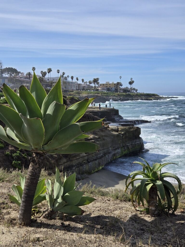 San Diego, California | Adventures with Shelby
