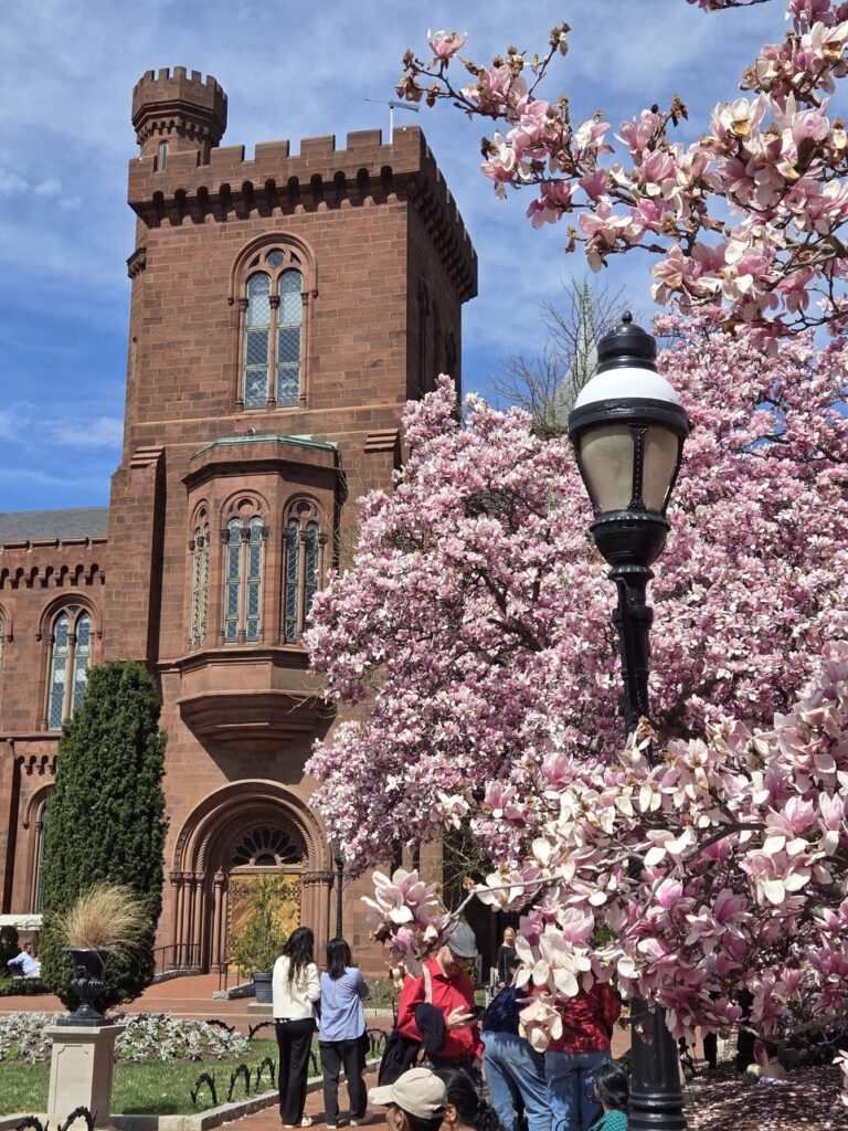 Spring in Washington, DC | Adventures with Shelby